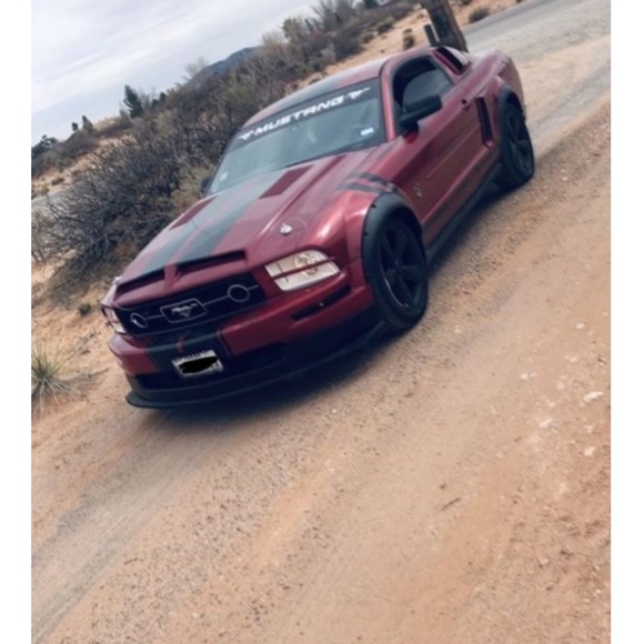 Meet your Posher, Bobby - Picture 1 of 1